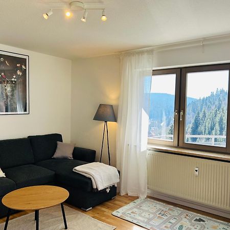 Ferienwohnung Panoramablick - Super Fuer Deine Familie Und Die Besten Aussicht In Ganz טודמוס מראה חיצוני תמונה