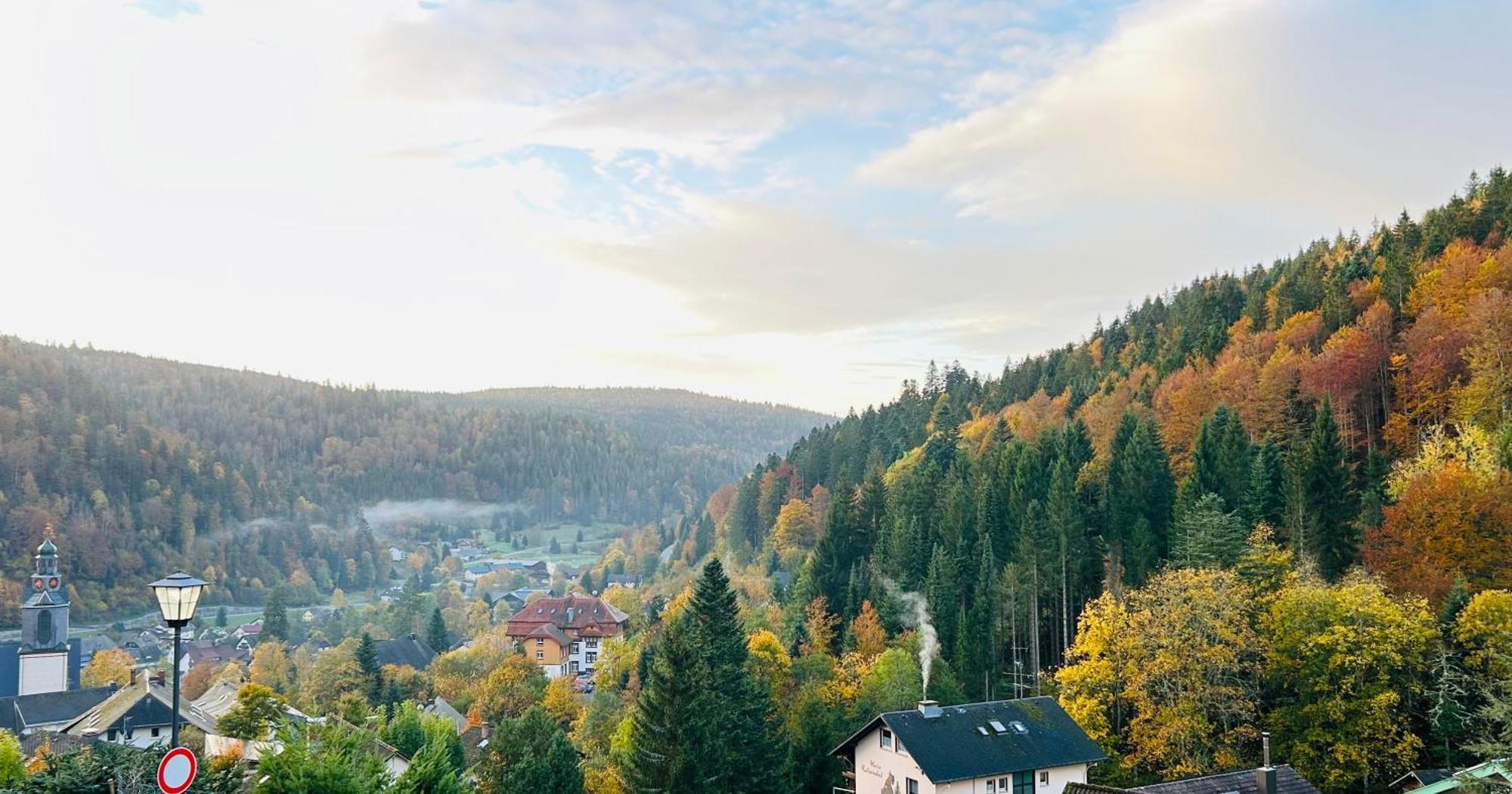 Ferienwohnung Panoramablick - Super Fuer Deine Familie Und Die Besten Aussicht In Ganz טודמוס מראה חיצוני תמונה