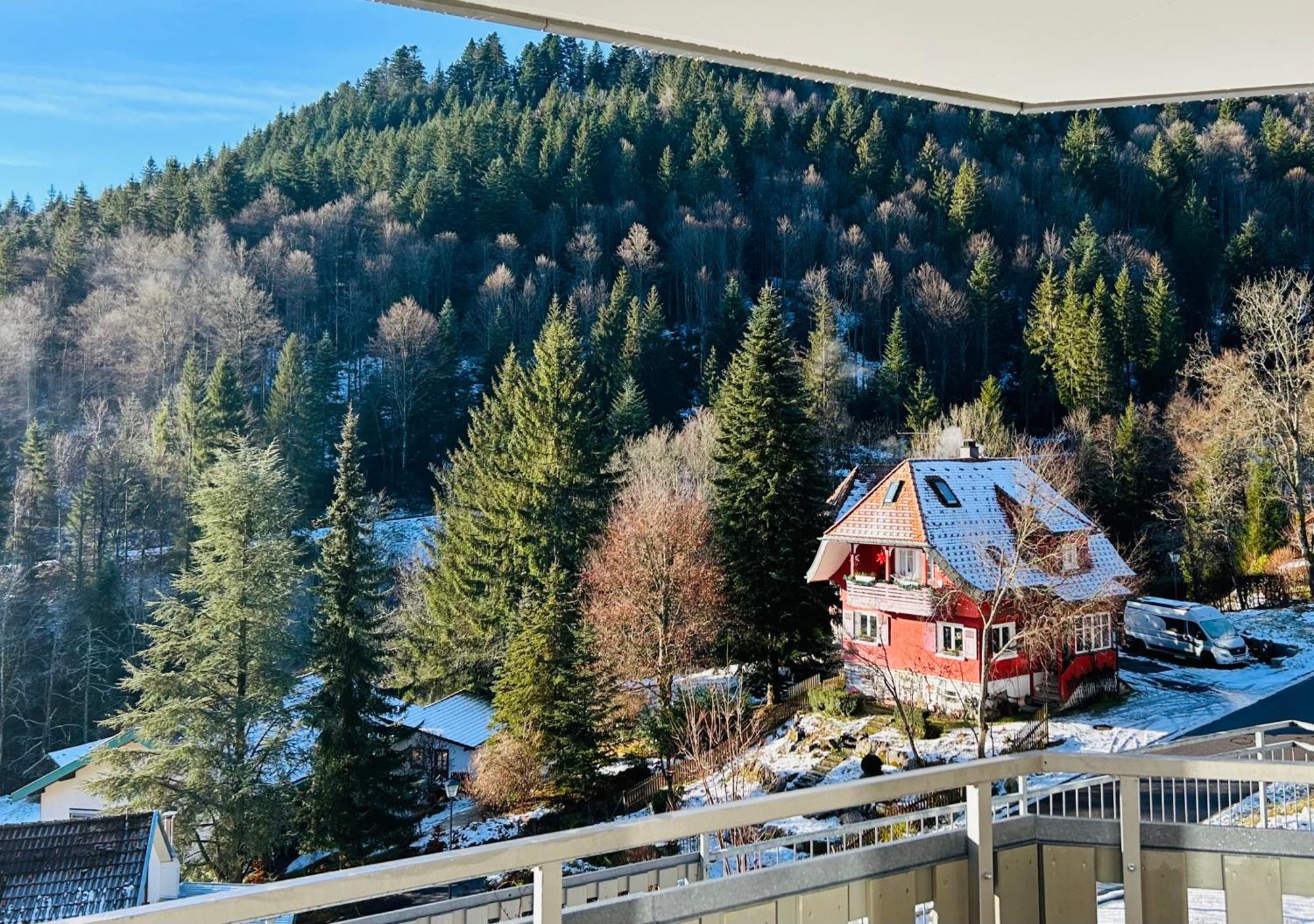 Ferienwohnung Panoramablick - Super Fuer Deine Familie Und Die Besten Aussicht In Ganz טודמוס מראה חיצוני תמונה