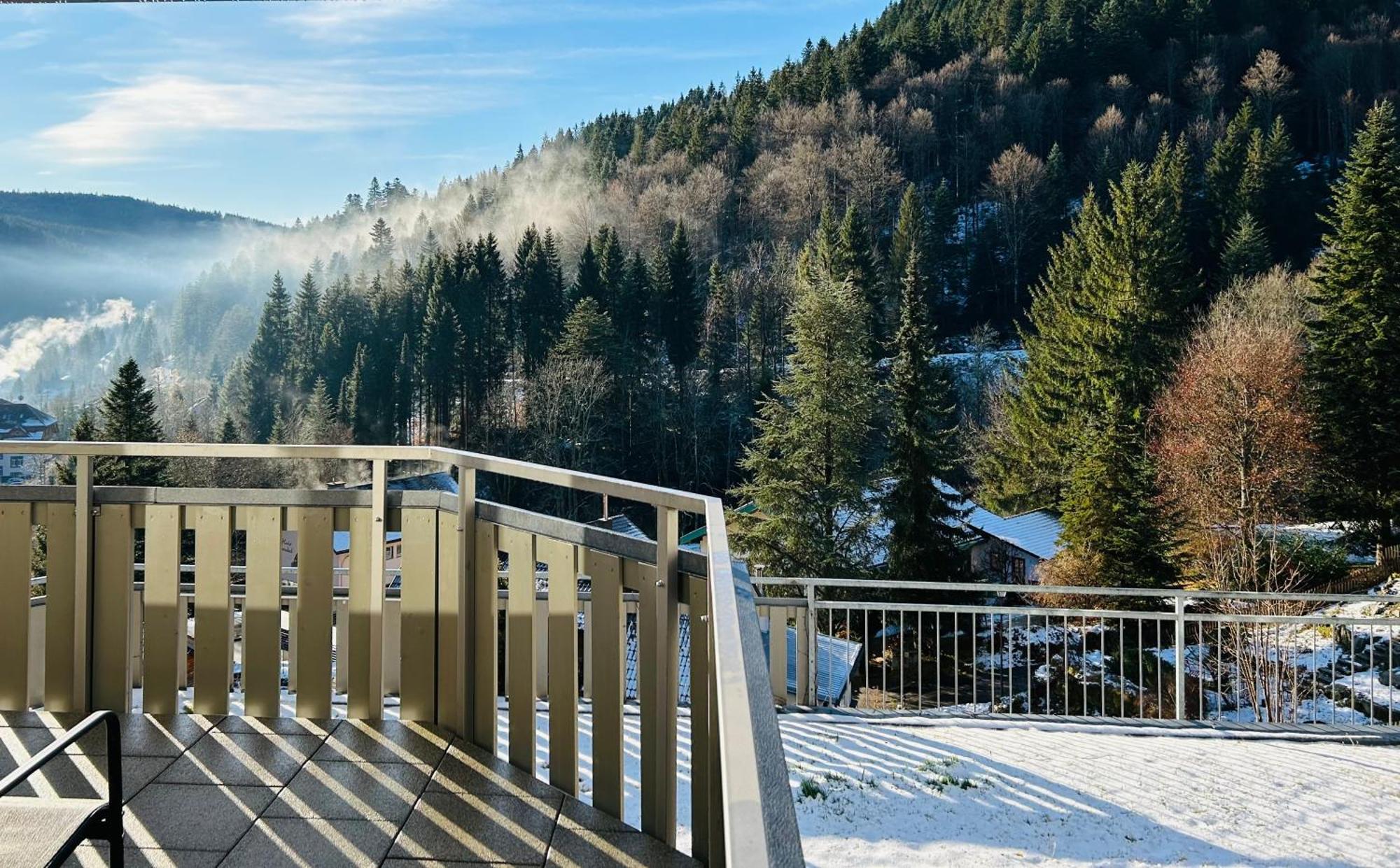 Ferienwohnung Panoramablick - Super Fuer Deine Familie Und Die Besten Aussicht In Ganz טודמוס מראה חיצוני תמונה